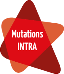 TOUT SUR LE MOUVEMENT INTRA 2026